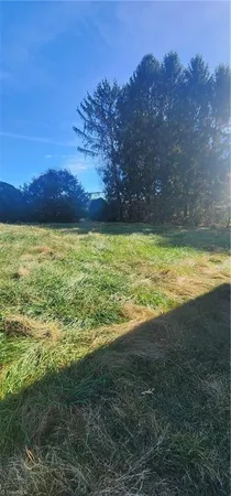 $45,000 | 3325 Sylvatus Highway, Hillsville, VA 24343