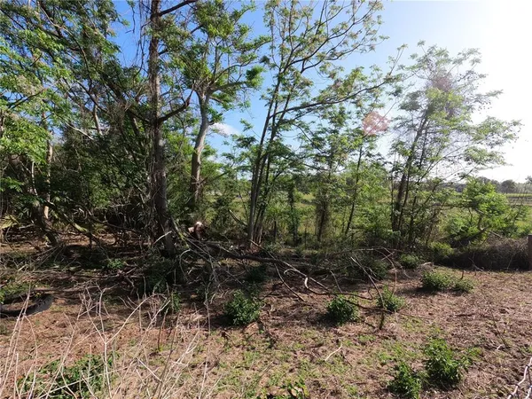 $850,000 | 0 Earth Star Lane, Groveland, FL 34736