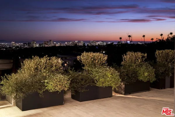 a view of a patio with table and chairs potted plants and a large tree