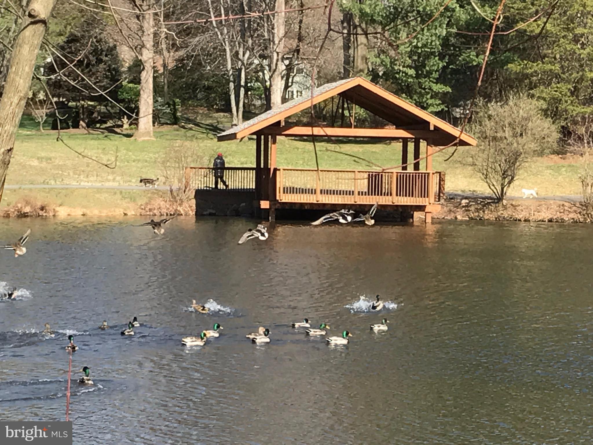 9849 Natick Road Burke, VA 22015 - Photo 28 of 29 Several ponds and miles of walking/jogging paths!