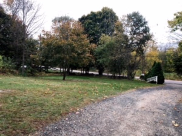 889 Upper Union Street Franklin, MA 02038 - Photo 8 of 42 a view of backyard with green space