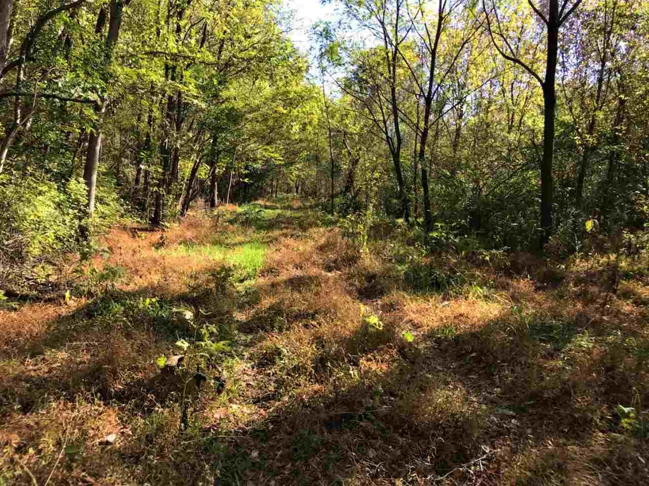 Spring Way Newport, TN 37821 - Photo 2 of 29 2
