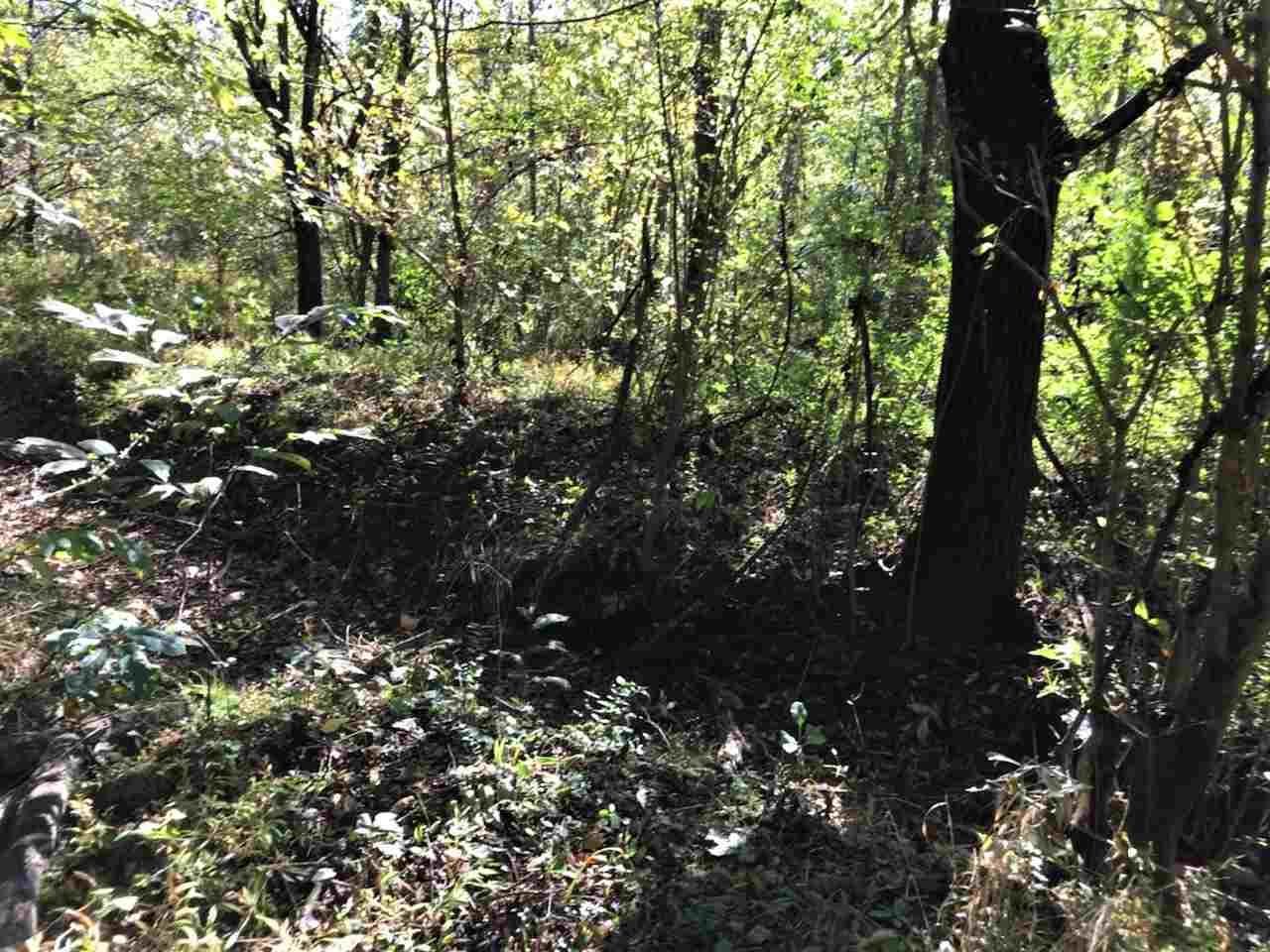 Spring Way Newport, TN 37821 - Photo 11 of 29 11