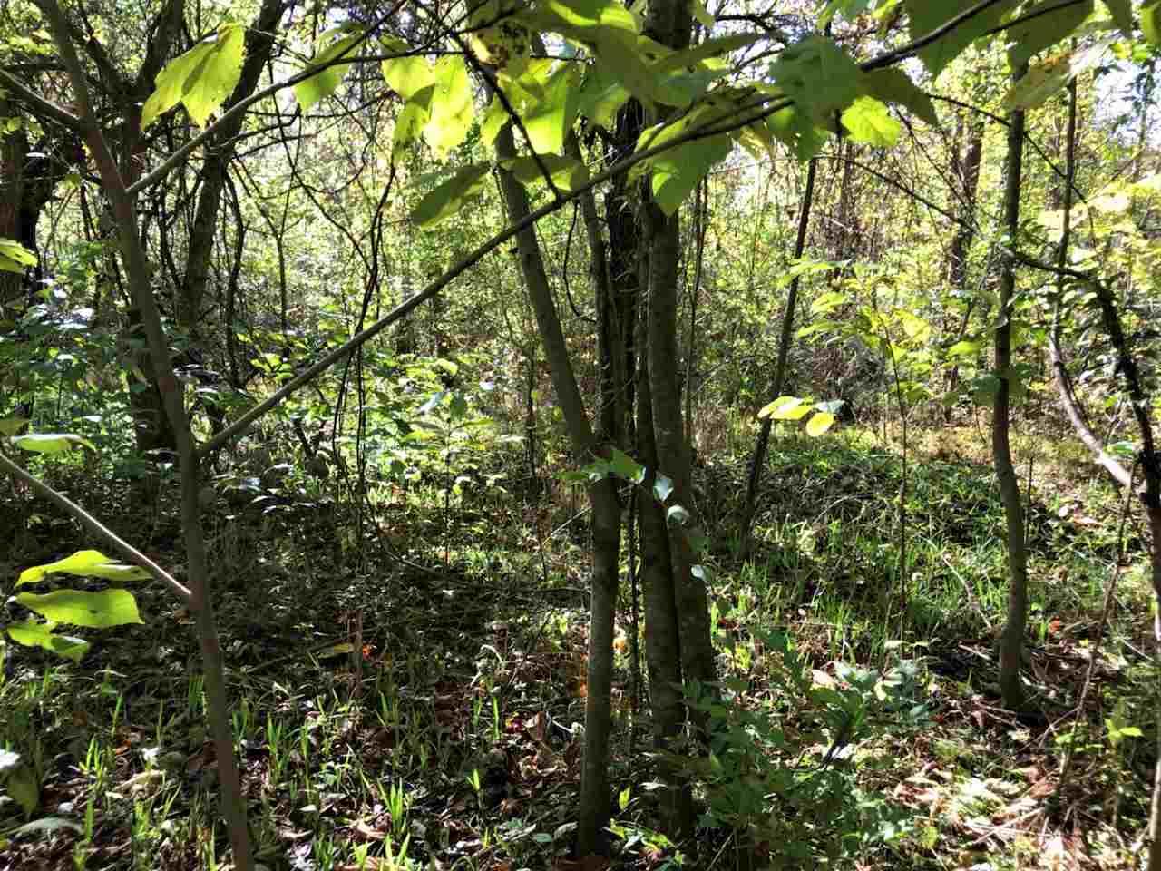 Spring Way Newport, TN 37821 - Photo 12 of 29 12
