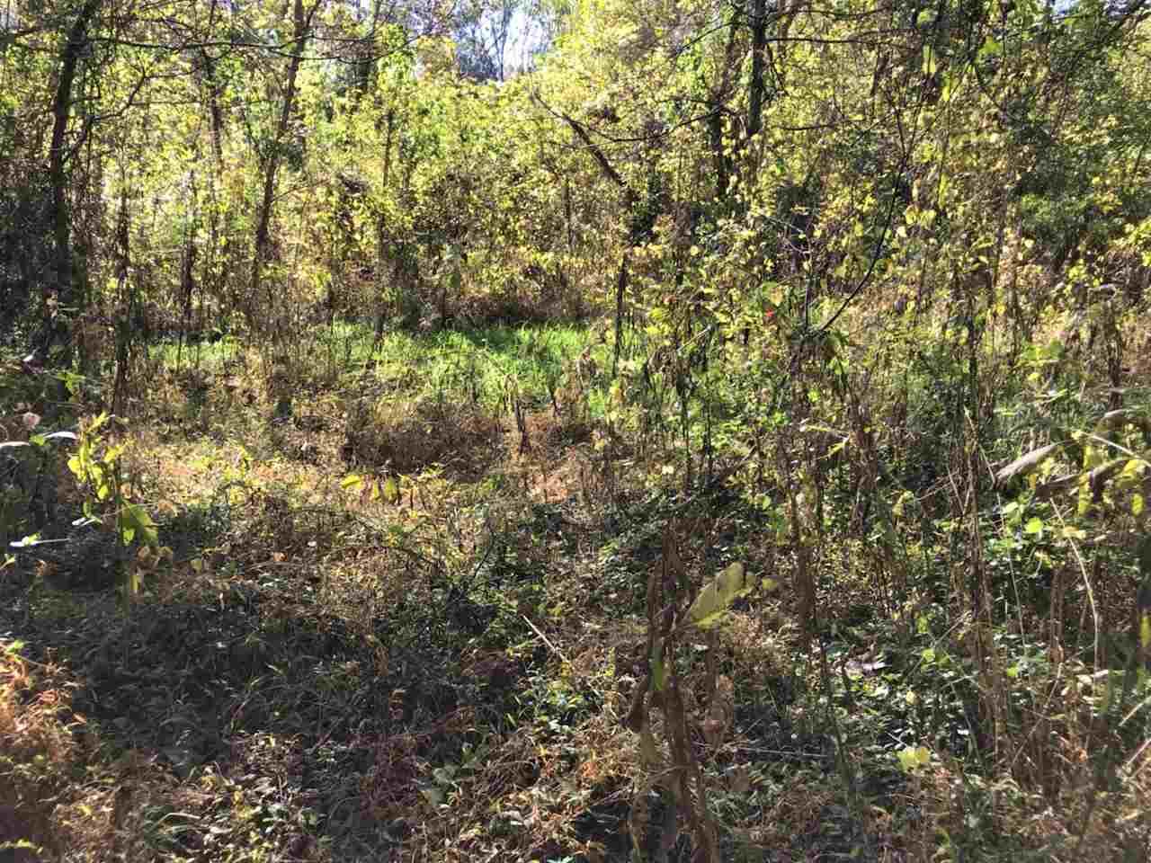 Spring Way Newport, TN 37821 - Photo 13 of 29 13