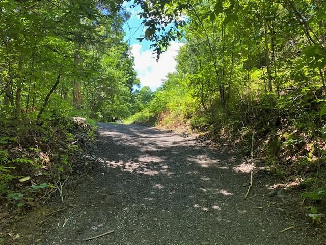 Spring Way Newport, TN 37821 - Photo 24 of 29 24