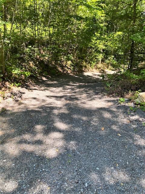 Spring Way Newport, TN 37821 - Photo 26 of 29 26