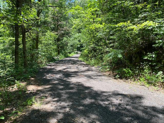 Spring Way Newport, TN 37821 - Photo 28 of 29 29