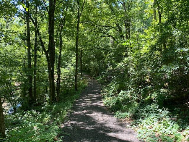 Spring Way Newport, TN 37821 - Photo 29 of 29 30