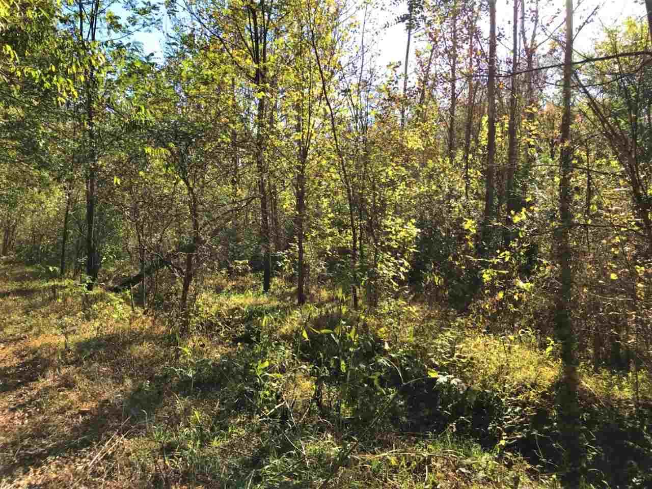 Spring Way Newport, TN 37821 - Photo 5 of 29 5