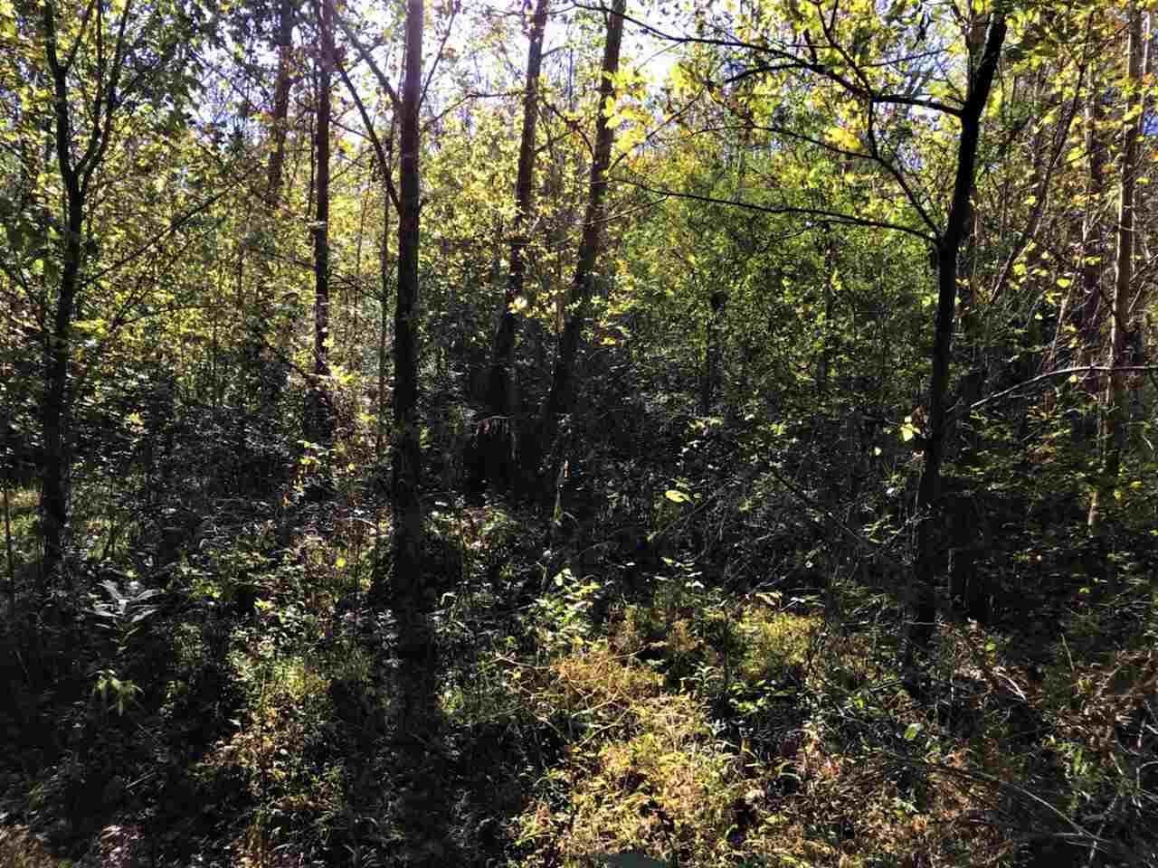 Spring Way Newport, TN 37821 - Photo 7 of 29 7
