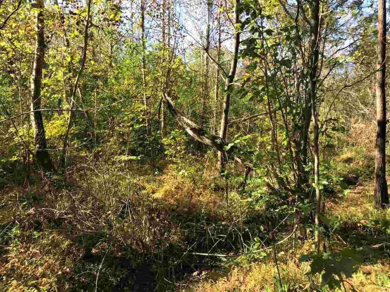 Spring Way Newport, TN 37821 - Photo 8 of 29 8