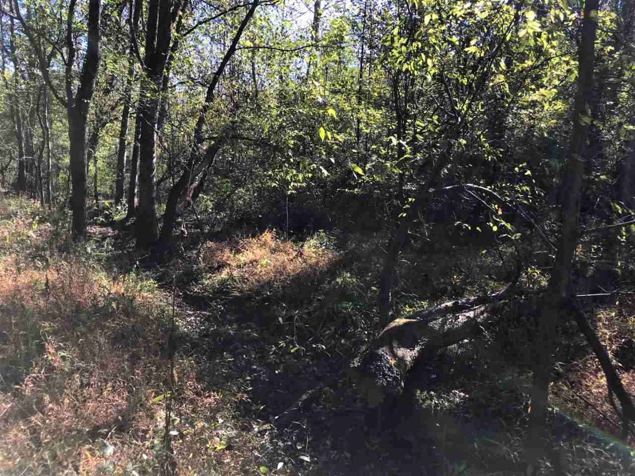 Spring Way Newport, TN 37821 - Photo 10 of 29 10
