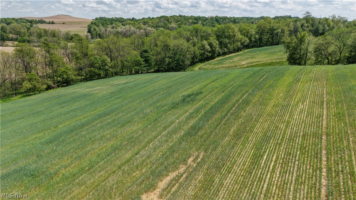 Renner Road Stone Creek, OH 43840 - Photo 5 of 13