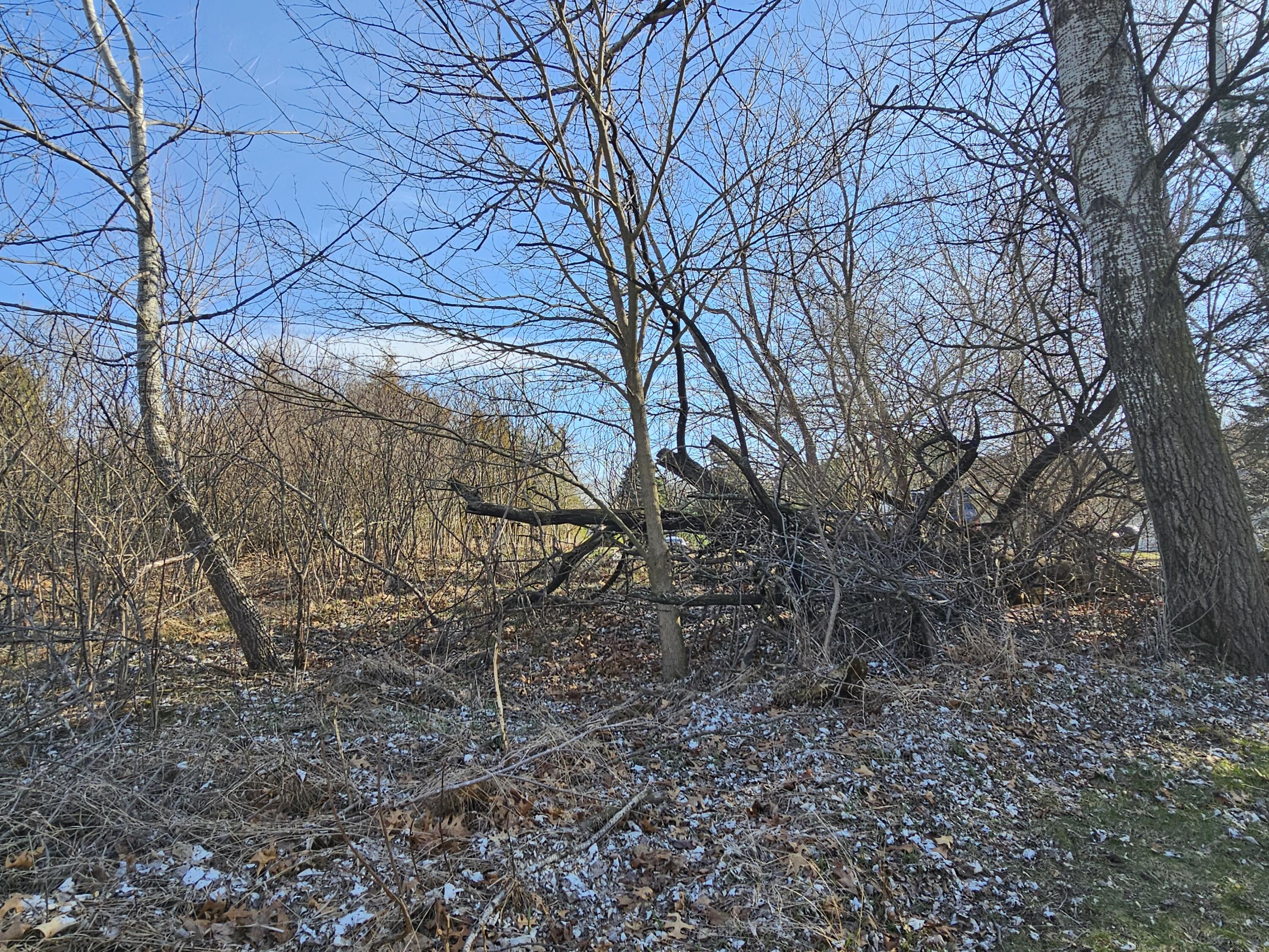 6416 Kelley Road Brooklyn, MI 49230 - Photo 15 of 24 1000037848