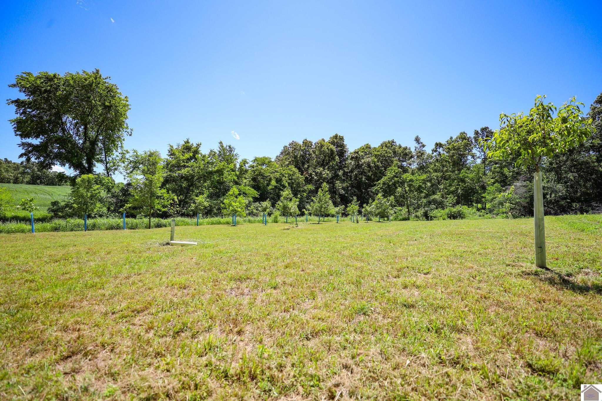 869 Cave Spring Road Smithland, KY 42081 - Photo 17 of 37 Orchard