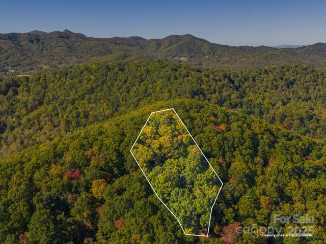 a view of a mountain