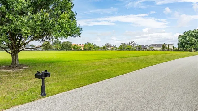 a view of a street with a yard and a large tree