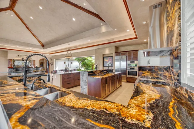 a view of a garden with plants