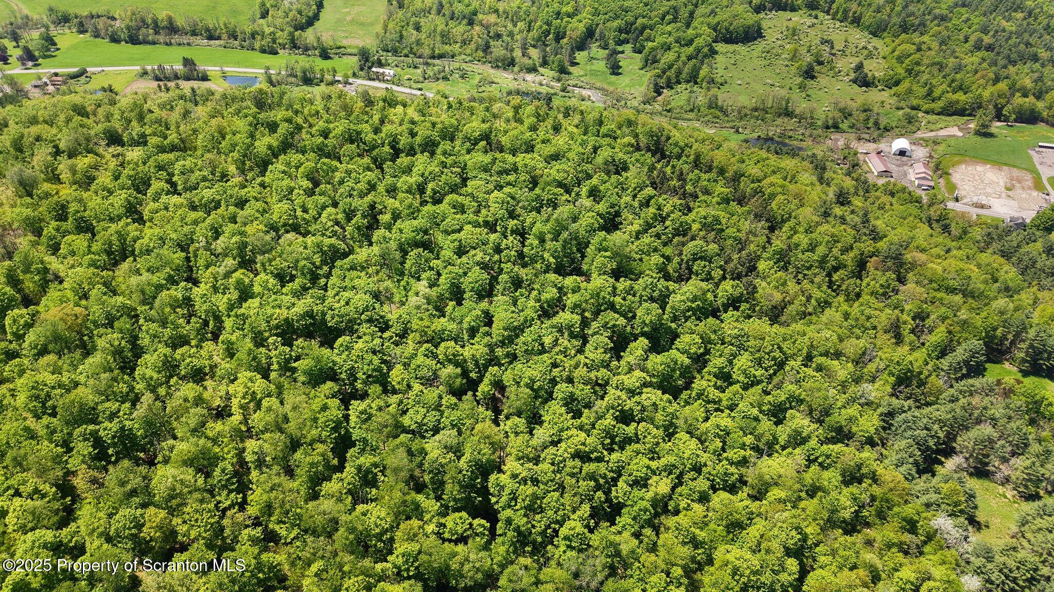 Quaker Lake Road Friendsville, PA 18818 - Photo 11 of 12 a view of a lush green field