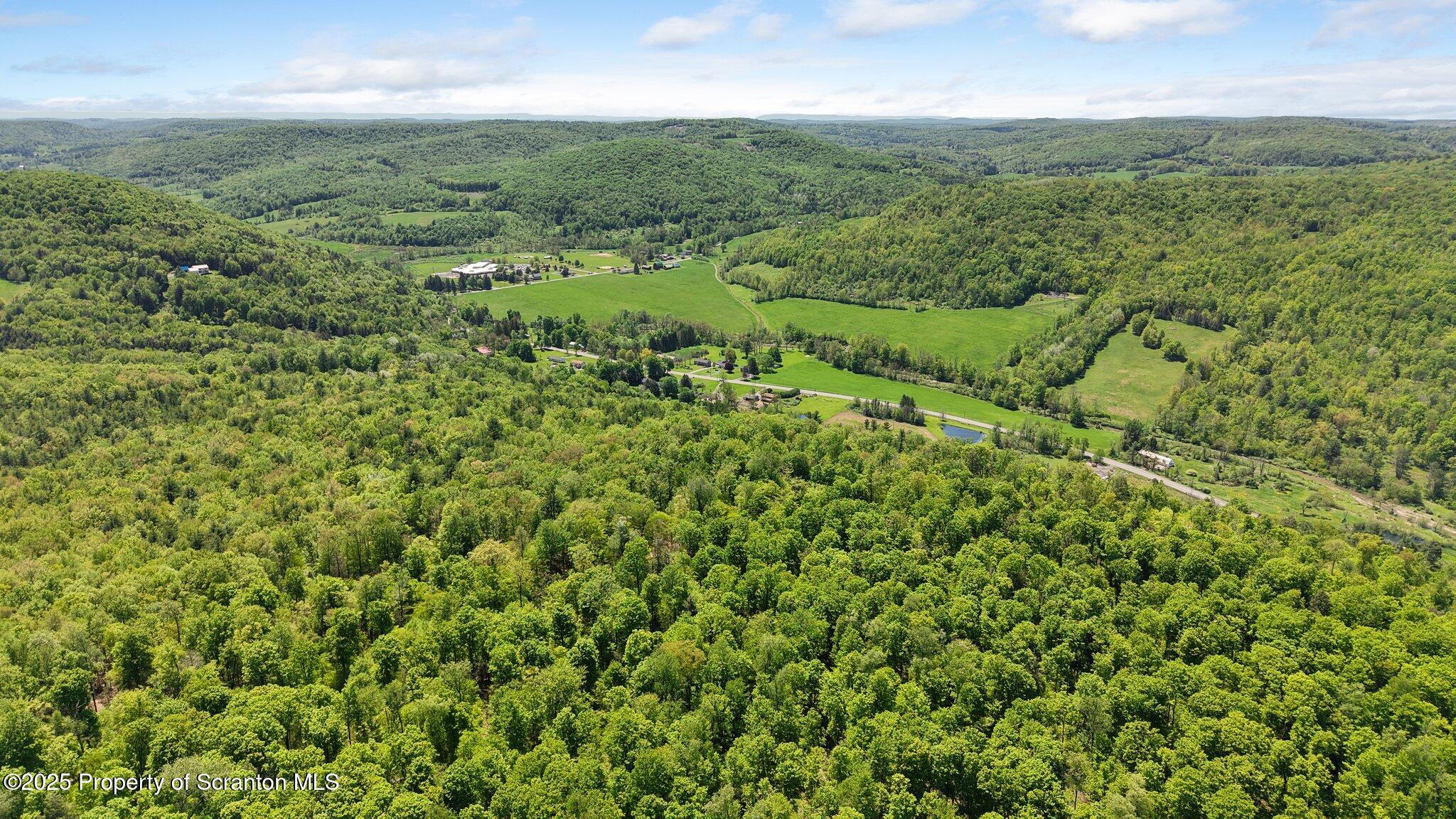Quaker Lake Road Friendsville, PA 18818 - Photo 12 of 12 a view of a lush green forest with lots of trees