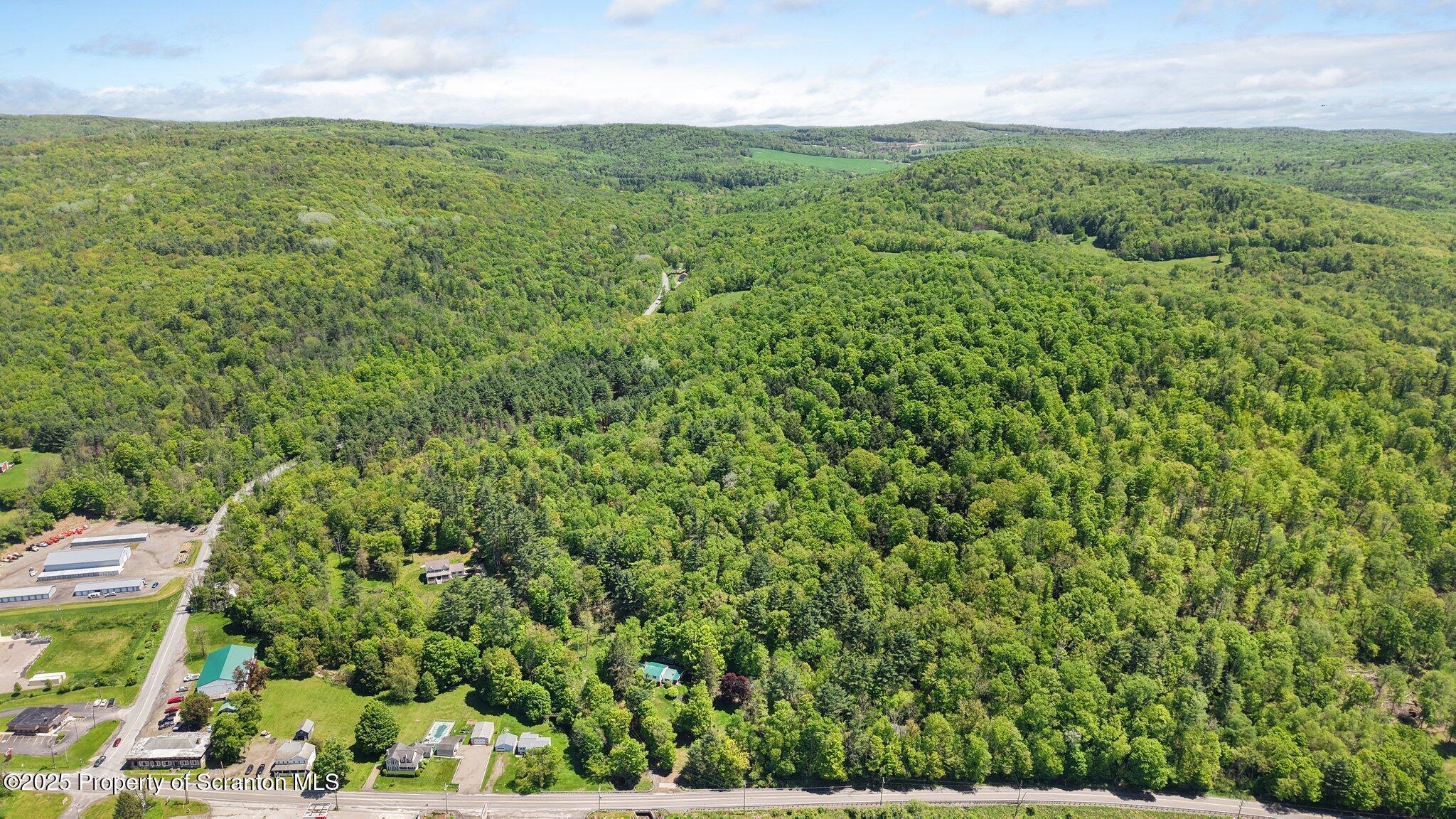 Quaker Lake Road Friendsville, PA 18818 - Photo 4 of 12 a view of a big yard with plants and large trees