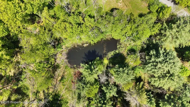 a view of a plants in backyard of a house