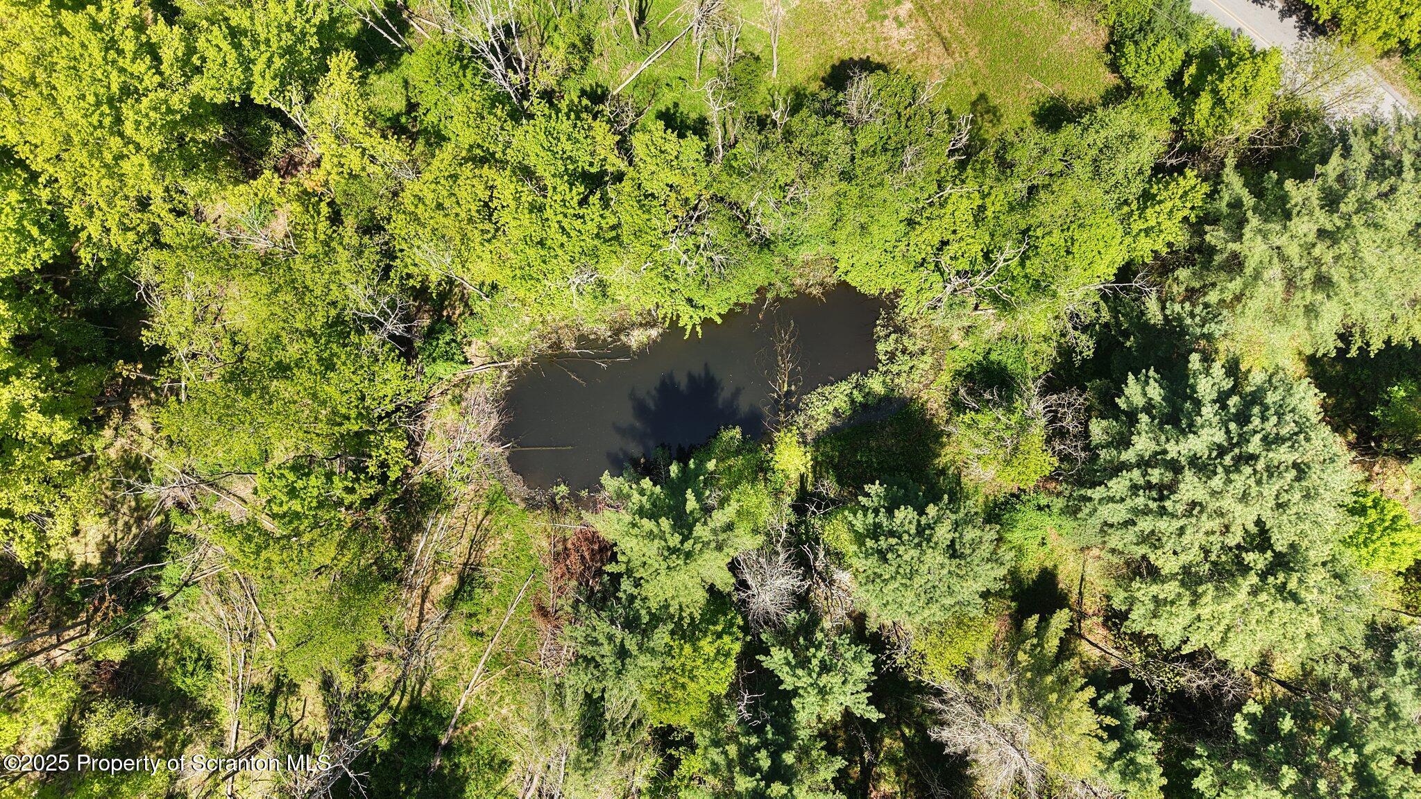 Quaker Lake Road Friendsville, PA 18818 - Photo 6 of 12 a view of a plants in backyard of a house