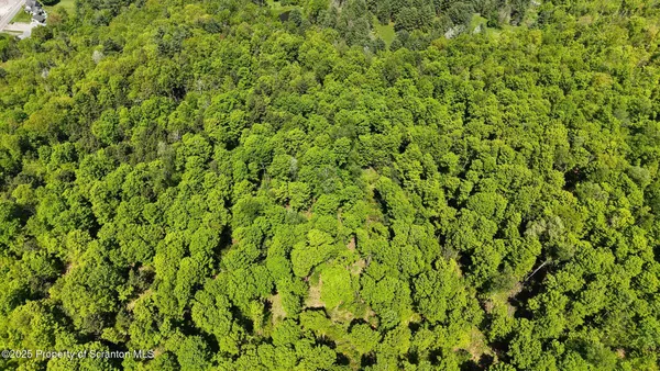 a view of a lush green field