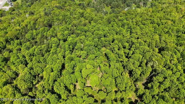 a view of a lush green field