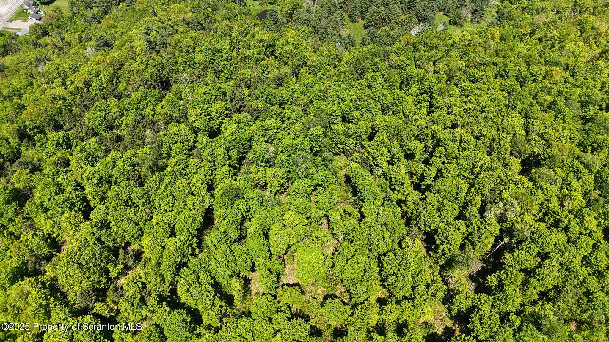 Quaker Lake Road Friendsville, PA 18818 - Photo 8 of 12 a view of a lush green field