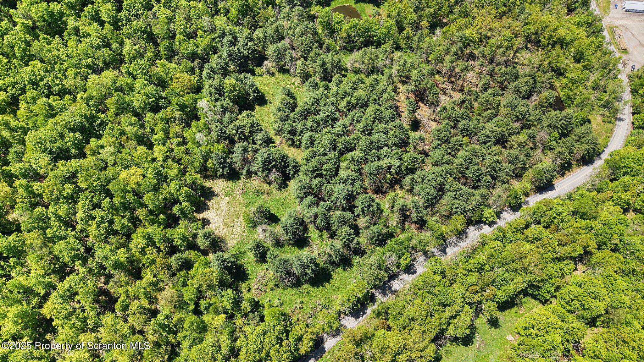 Quaker Lake Road Friendsville, PA 18818 - Photo 9 of 12 a view of a lush green forest with a tree