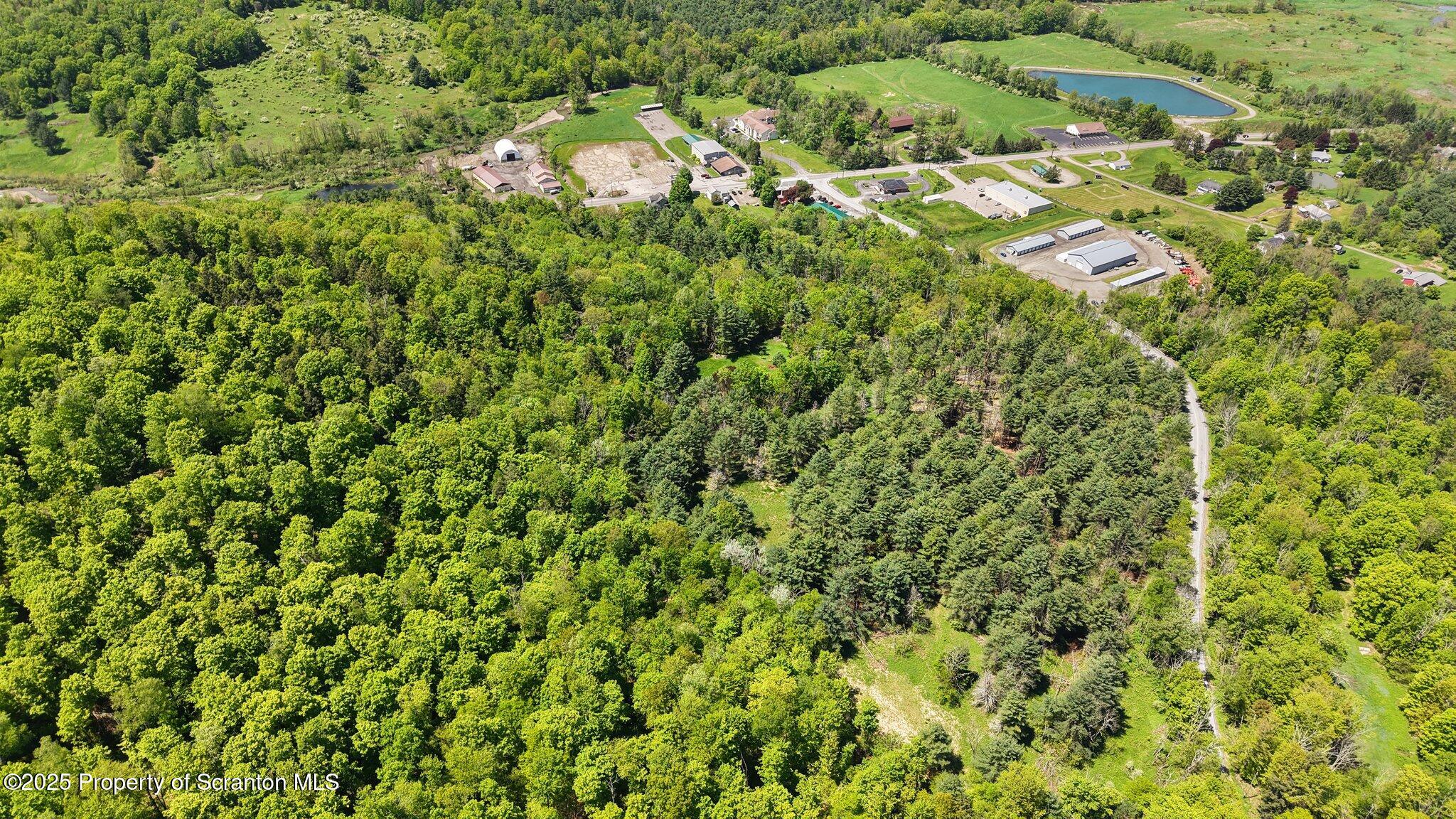Quaker Lake Road Friendsville, PA 18818 - Photo 10 of 12 a view of a garden