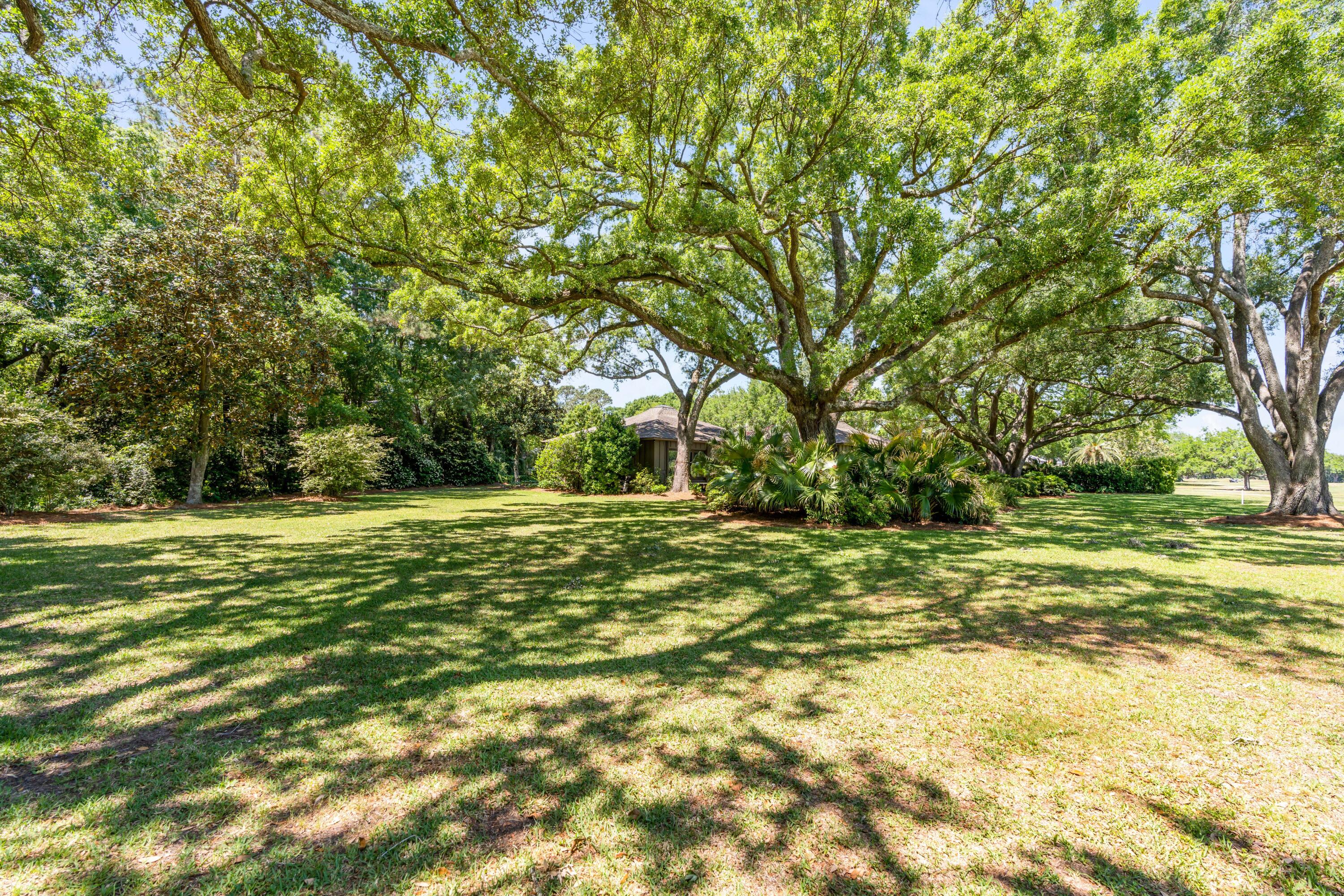 1459 Burningtree Road Charleston, SC 29412 - Photo 43 of 50 Private Backyard