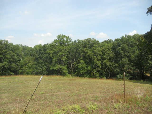 1292 Sheehy Road McEwen, TN 37101 - Photo 14 of 20 Gallery Image 14