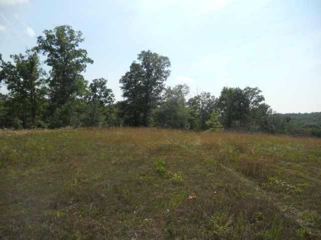 1292 Sheehy Road McEwen, TN 37101 - Photo 16 of 20 Gallery Image 16