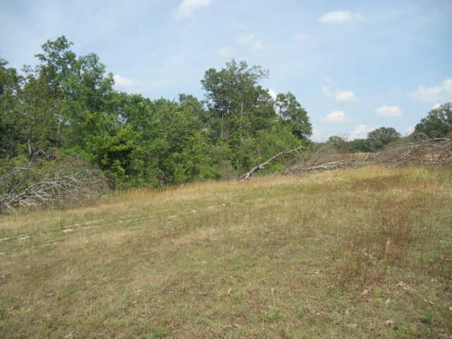 1292 Sheehy Road McEwen, TN 37101 - Photo 17 of 20 Gallery Image 17