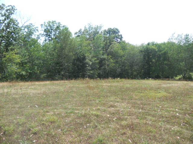 1292 Sheehy Road McEwen, TN 37101 - Photo 20 of 20 Gallery Image 20