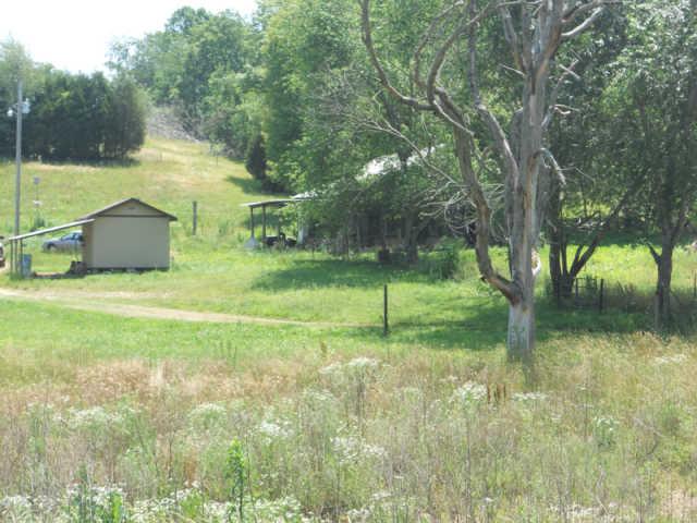1292 Sheehy Road McEwen, TN 37101 - Photo 3 of 20 Gallery Image 3