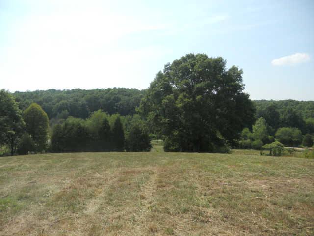 1292 Sheehy Road McEwen, TN 37101 - Photo 7 of 20 Gallery Image 7