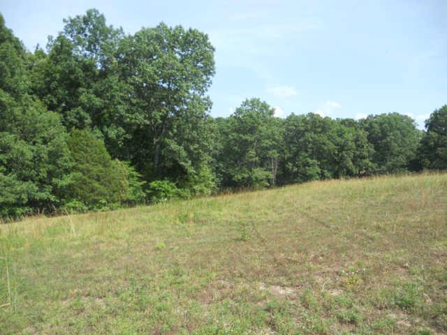 1292 Sheehy Road McEwen, TN 37101 - Photo 9 of 20 Gallery Image 9