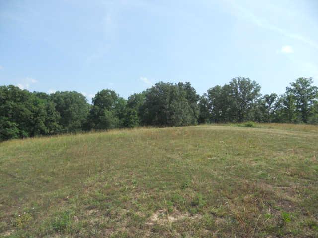 1292 Sheehy Road McEwen, TN 37101 - Photo 10 of 20 Gallery Image 10