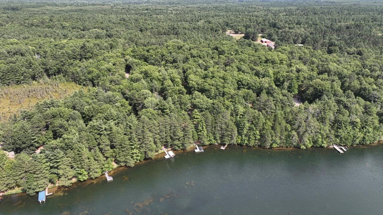 7665 Trout Road Lake Tomahawk, WI 54539 - Photo 5 of 20 Gallery Image 5