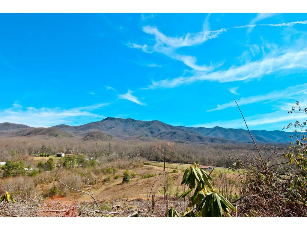 4642 Catons Grove Road Cosby, TN 37722 - Photo 23 of 24 Additional 45ac Available