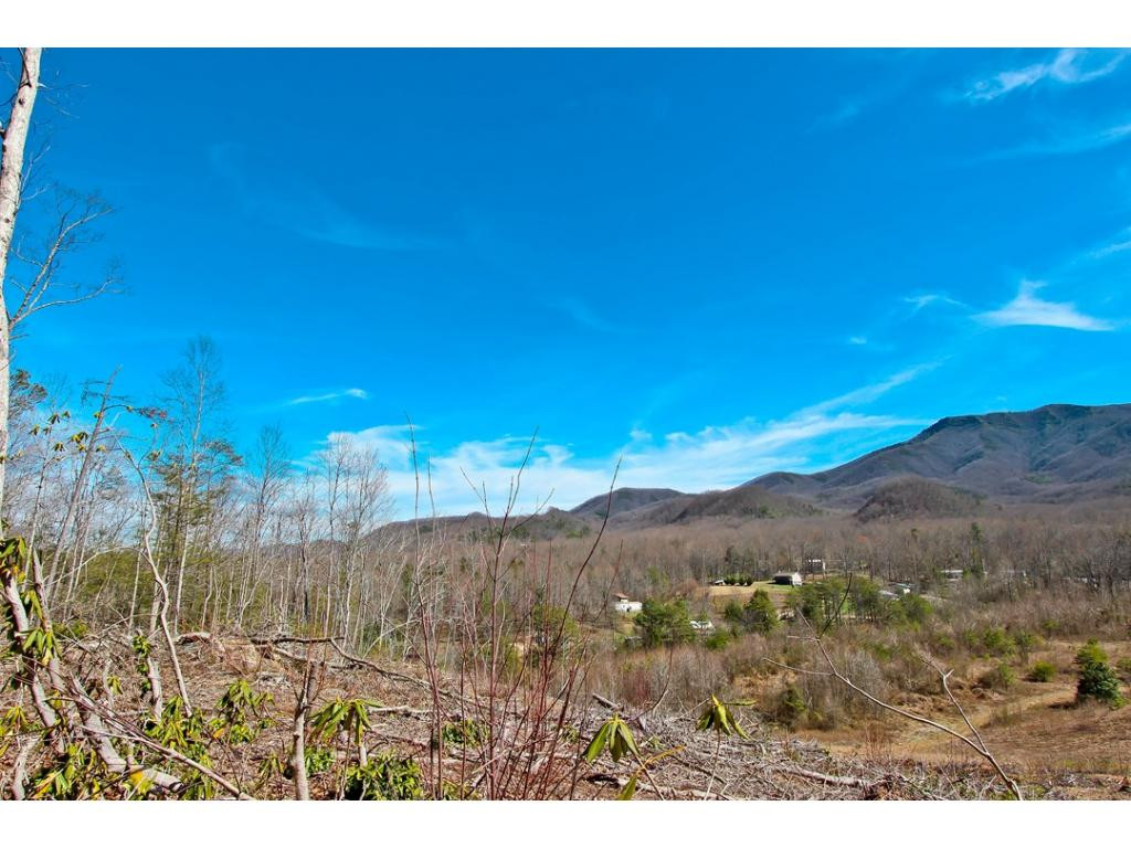 4642 Catons Grove Road Cosby, TN 37722 - Photo 24 of 24 Additional 45ac Available