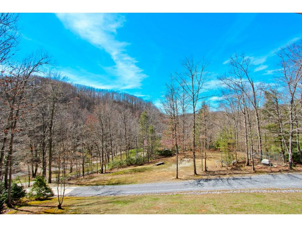 4642 Catons Grove Road Cosby, TN 37722 - Photo 6 of 24 Photo 6