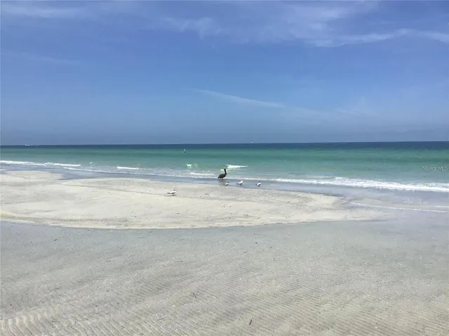 $3,500 | 1460 Gulf Boulevard, Unit 308, Clearwater Beach, FL 33767