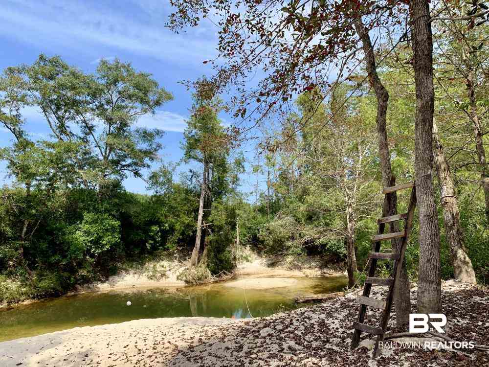 0 Country Road Mobile, AL 36608 - Photo 10 of 27