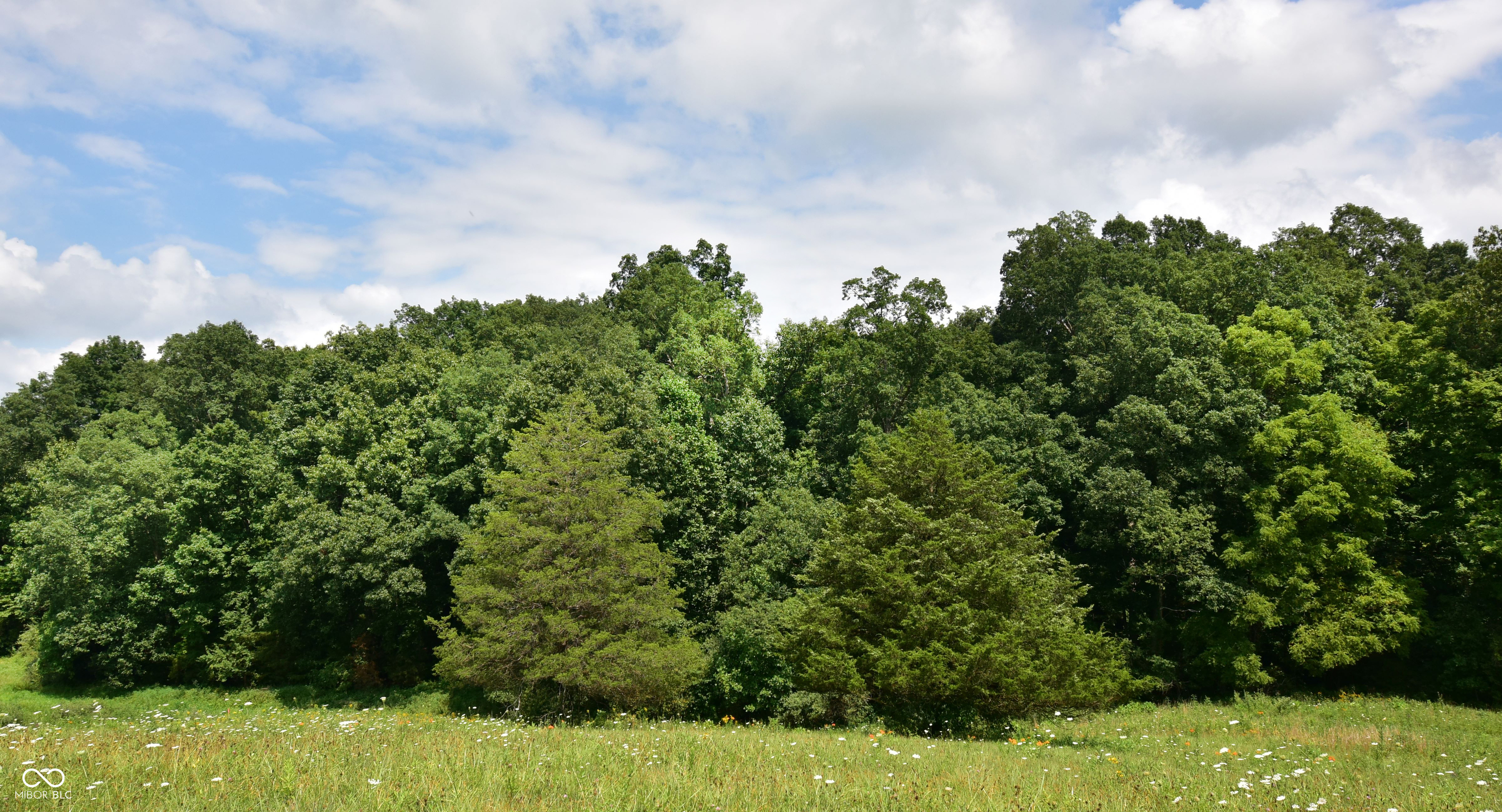 4203 Moorman Road Batesville, IN 47006 - Photo 2 of 11 Gallery Image 2