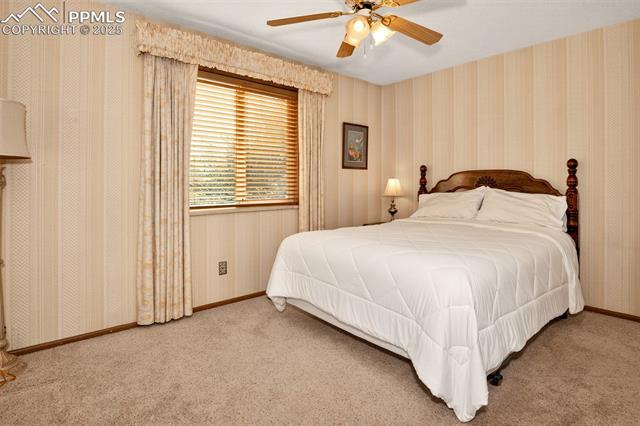 6723 Seneca Road Colorado Springs, CO 80915 - Photo 12 of 36 Warm decor and ceiling fan in the primary bedroom